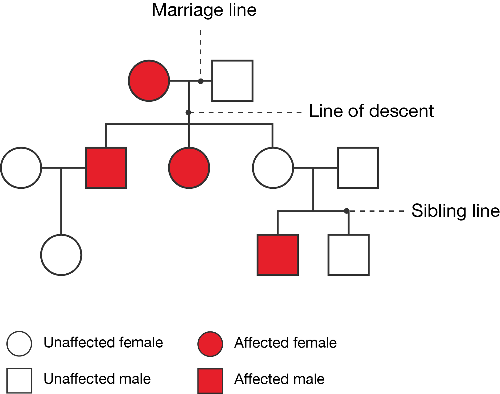 A labelled pedigree.